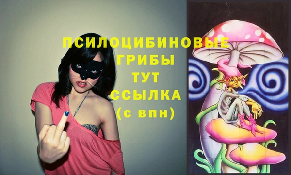 COCAINE Алексеевка