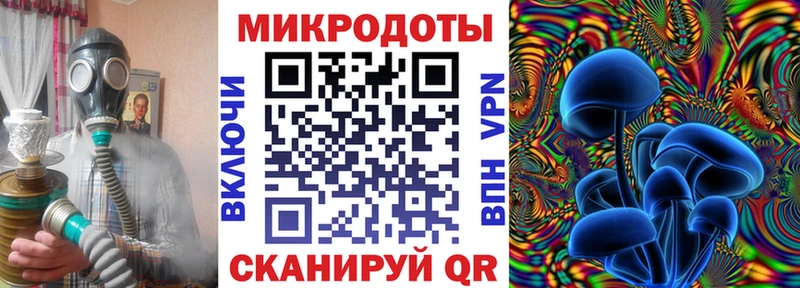 даркнет сайт  Новая Ладога  Галлюциногенные грибы прущие грибы 